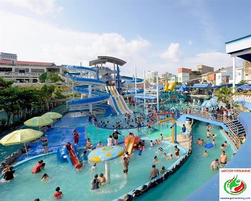 Hồ bơi Công Viên Nước Đại Thế Giới tập trung nhiều trò chơi dưới nước